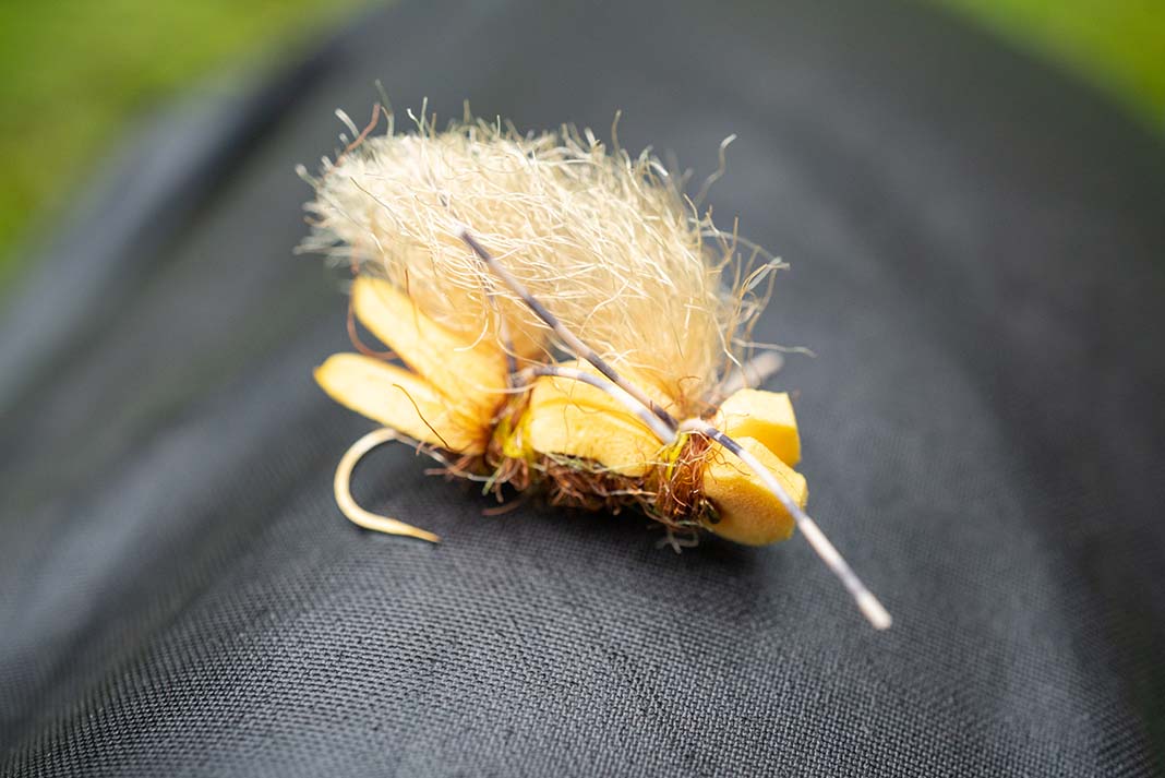 Troutflies UK Black Ant Dry Flies – 6-Pack, Winged Ant, Multiple Sizes Available