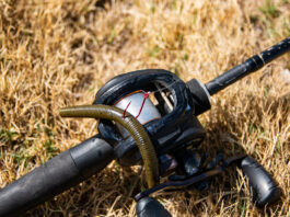 wacky rig on casting rod