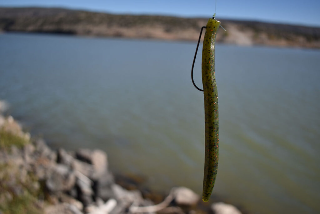 Best Bass Fishing Rigs | Kayak Angler