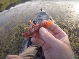 Hellgramite lure held up by a kayak fisherman