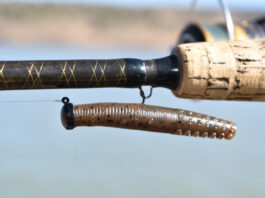 Ned rig setup attached to fishing rod.
