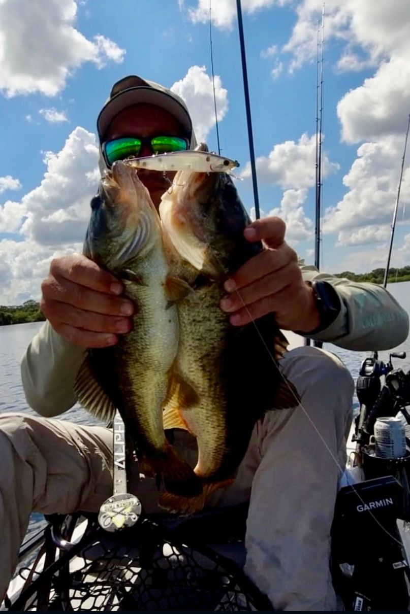 Angler lands two fish on bass lure for summer.