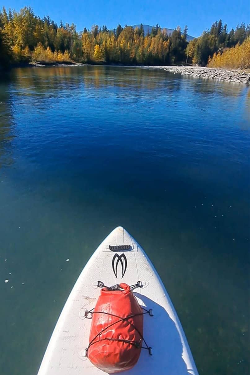 The bow of a paddleboard facing fall trees on the Illecillewaet River.
