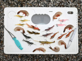 a selection of shrimp imitation lures are laid out on a white cutting board