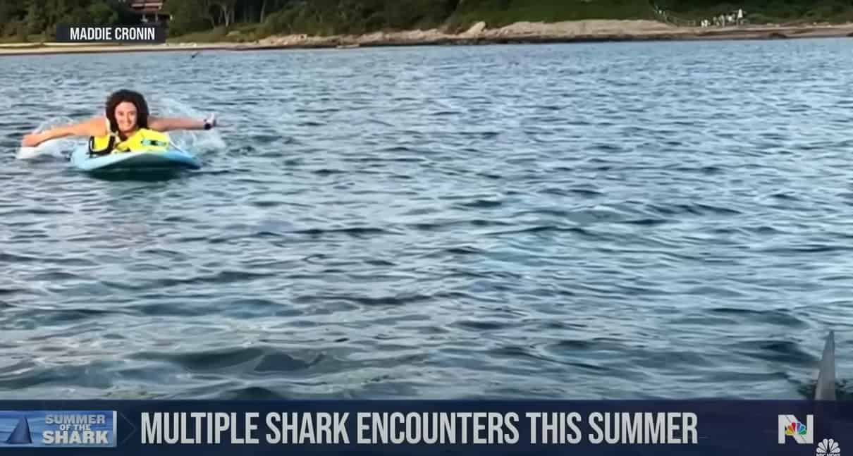 Paddleboarder Madeleine Cronin reacts to spotting a great white shark near friend, Margaret Bowles. Feature Image: CBS Boston | YouTube