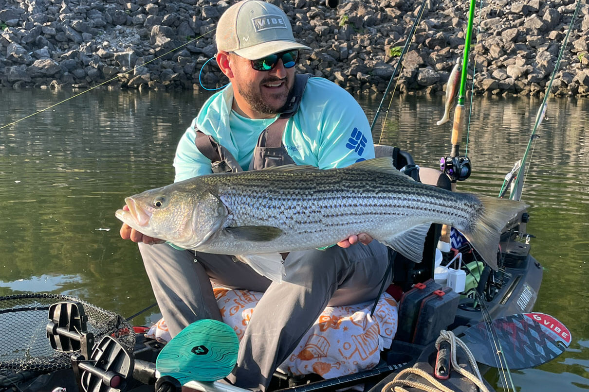 a kayak angler holds up a large striped bass caught while fishing in the Tennessee River Valley