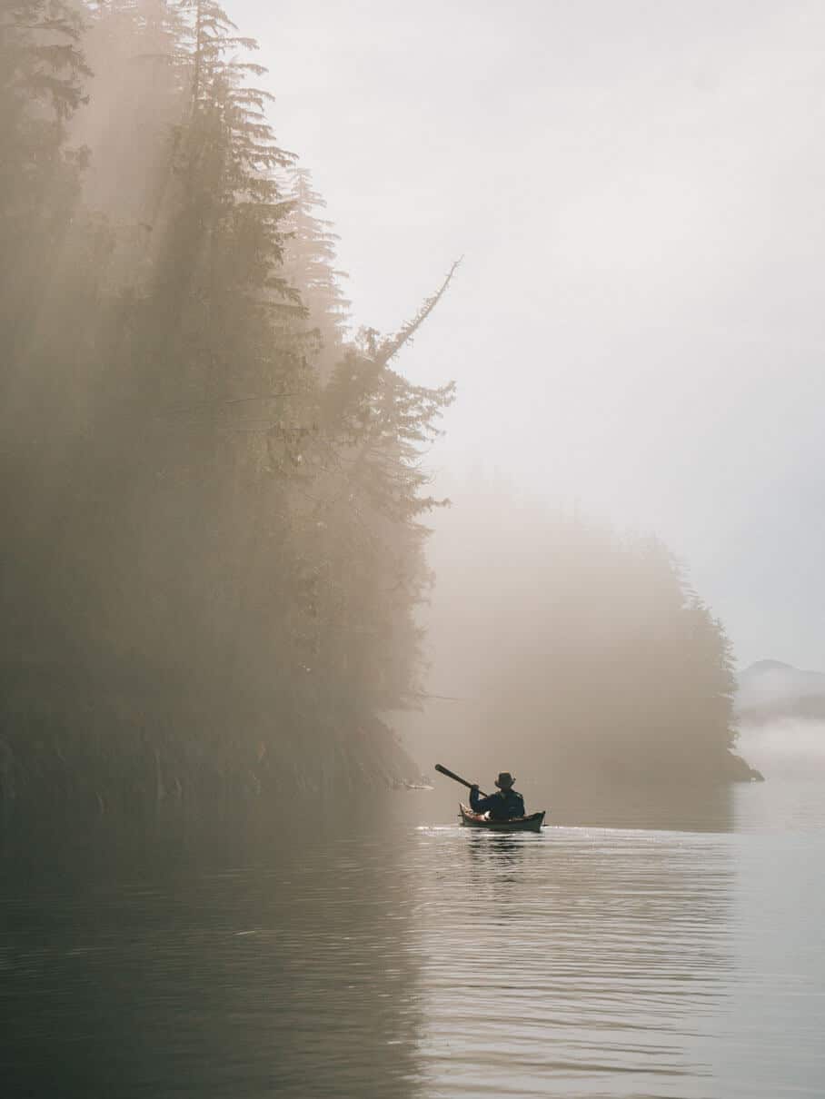a person paddles a sea kayak by a steep forested coast in the mist