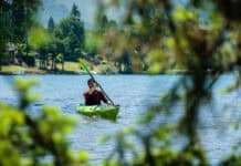 Joe Potoczak paddles the Lekker Osprey with leafy foliage in front