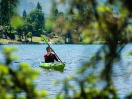 Joe Potoczak paddles the Lekker Osprey with leafy foliage in front