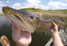 YouTuber Matt Nelson holds a large pike up to the camera
