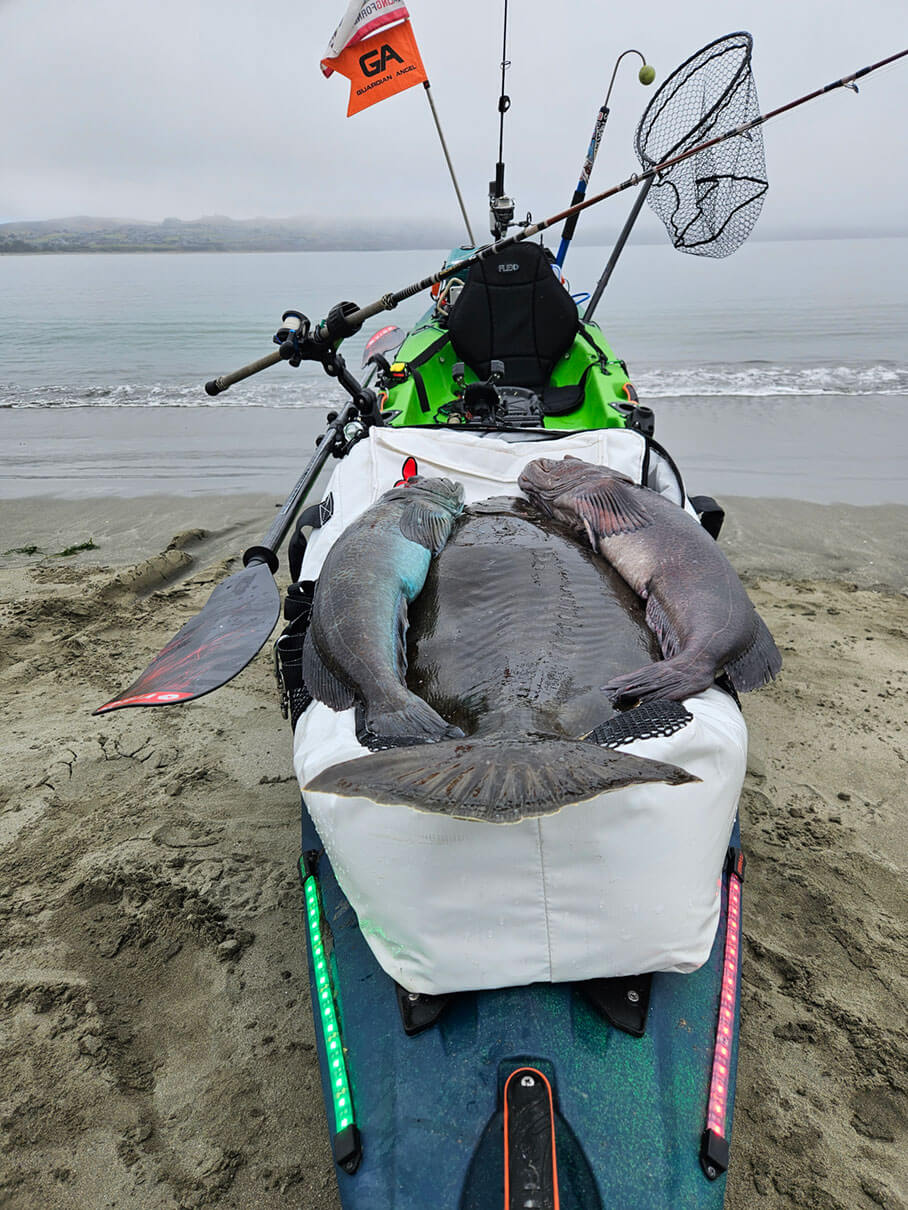 Trevor Powell's catch