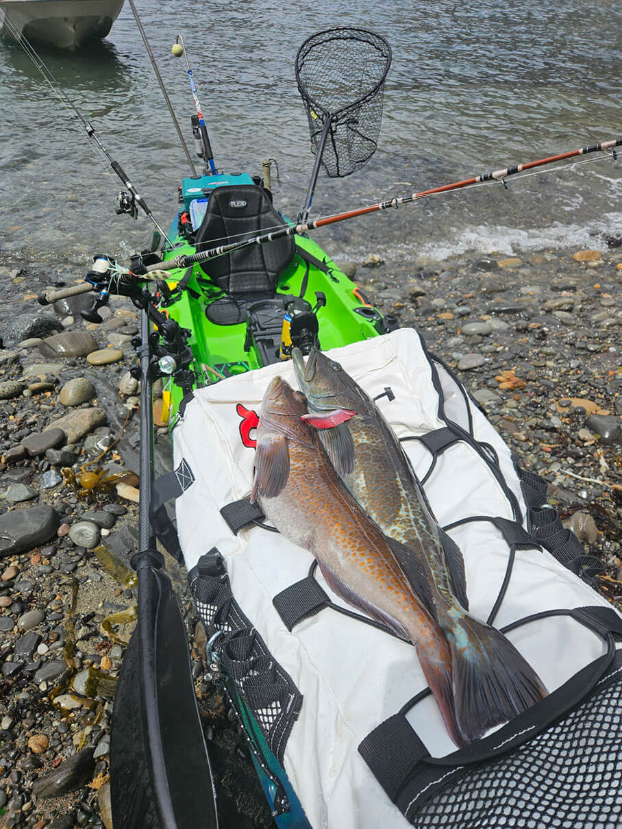 Trevor Powell's catch