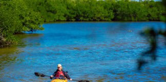 The Wild Corner Of Southwest Florida More Accessible Than The Everglades The Calusa Blueway at Matlacha Pass near the Fort Myers international airport.