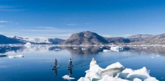 two people paddleboard across a fjord in East Greenland, with small icebergs nearby