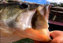 Kayak Angler Catches 11-Pound Bass At Restaurant (Video) Grant Langmore holds up a bass to the camera. Feature Image: Grant Langmore | YouTube