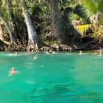 Kayaker Surrounded By Falling Monkeys (Video) Monkeys swim across from an island in Silver Springs Florida