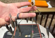 The author holding an Alabama rig.