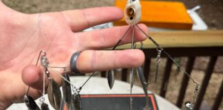 How To Rig And Fish The Alabama Rig The author holding an Alabama rig.