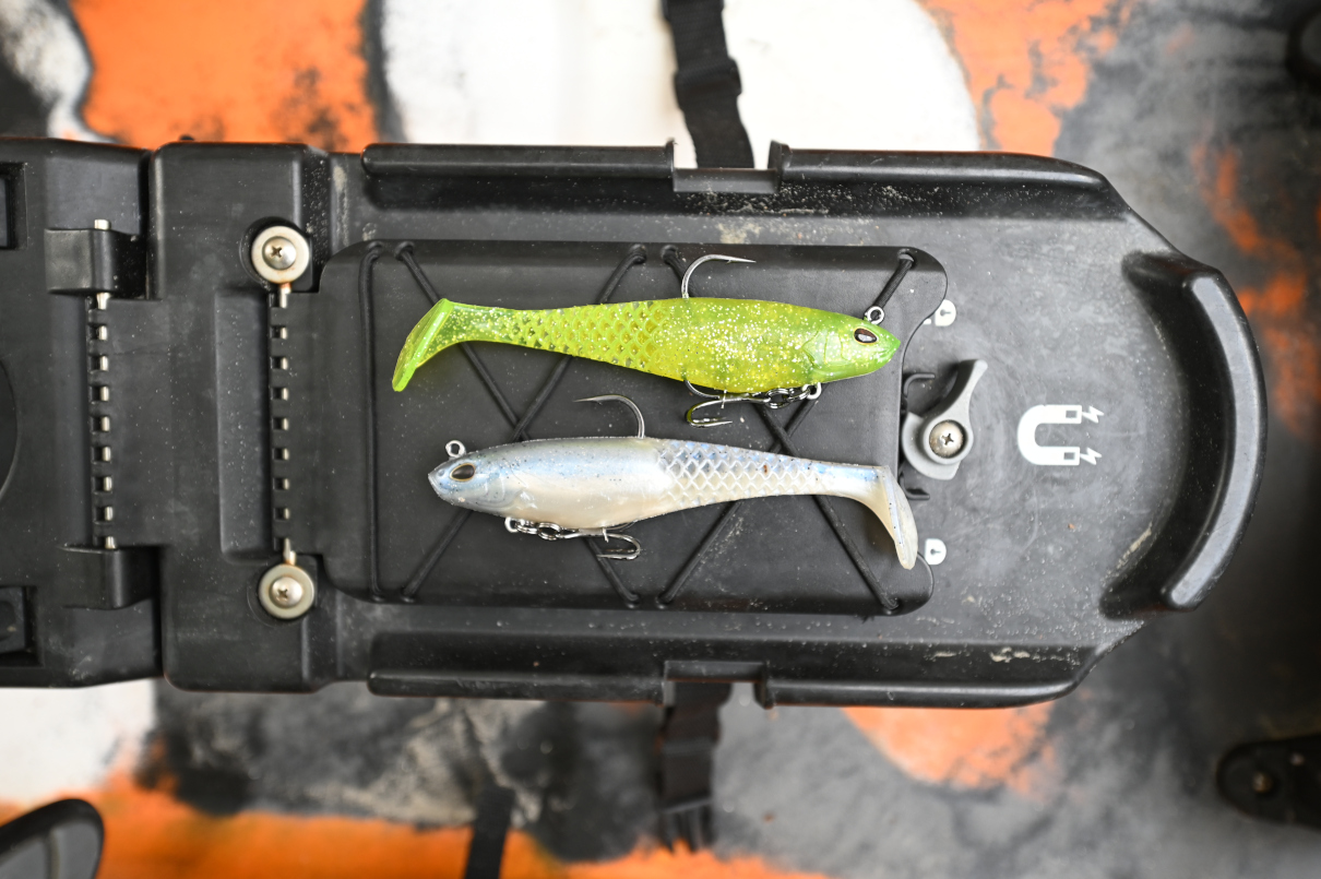 Berkley Shad swimbait.