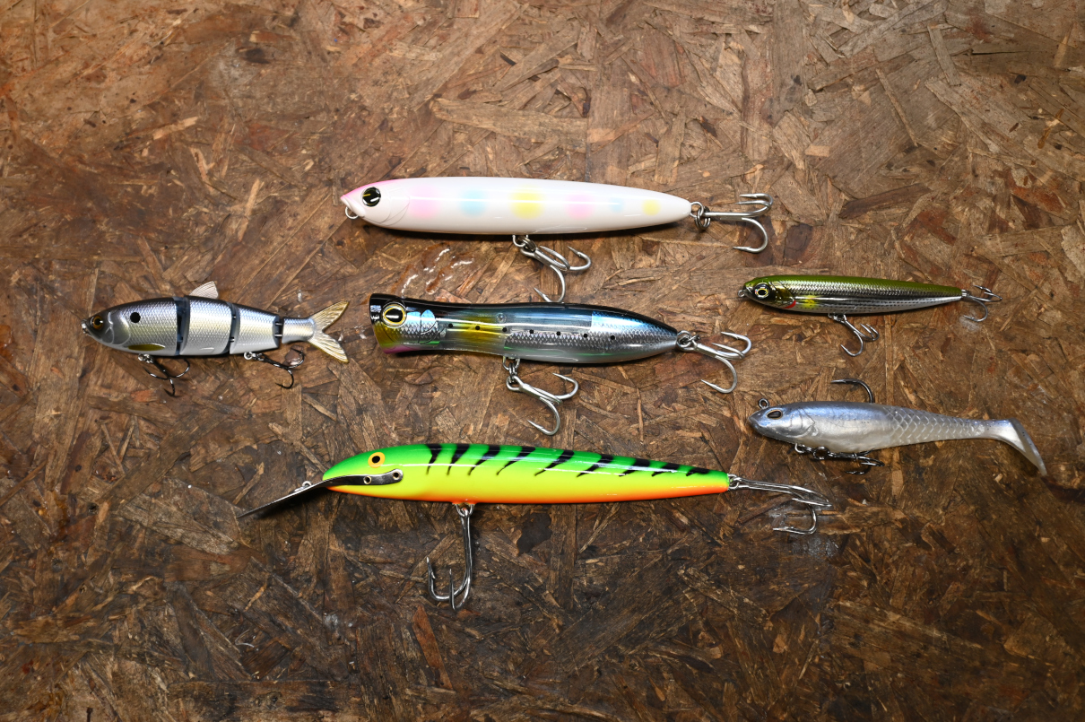 A collection of the six best striped bass lures.
