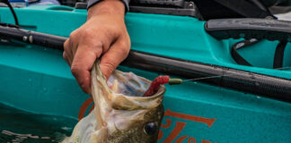 Kayak angler landing a largemouth bass.