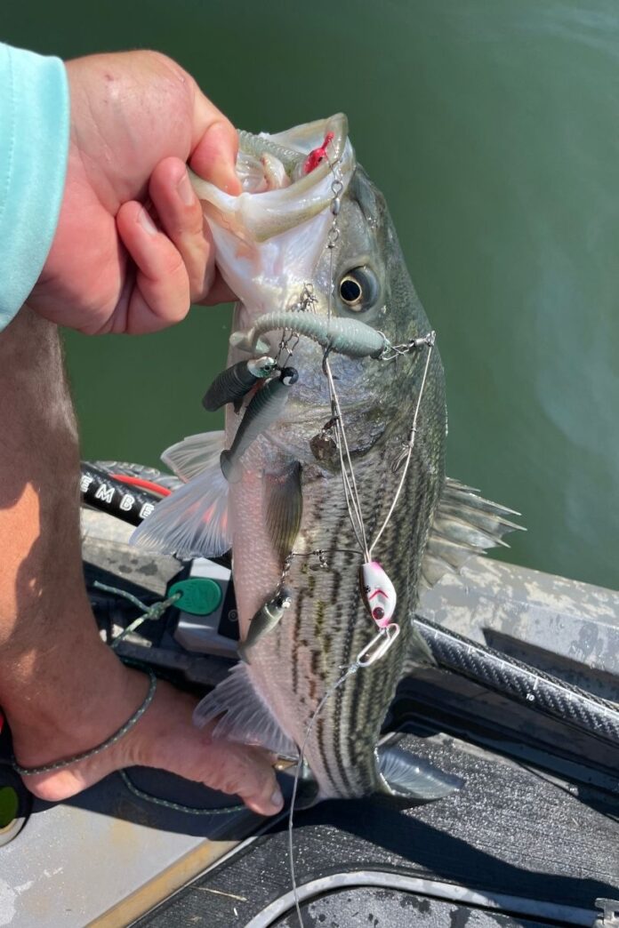 How To Rig And Fish The Alabama Rig | Kayak Angler
