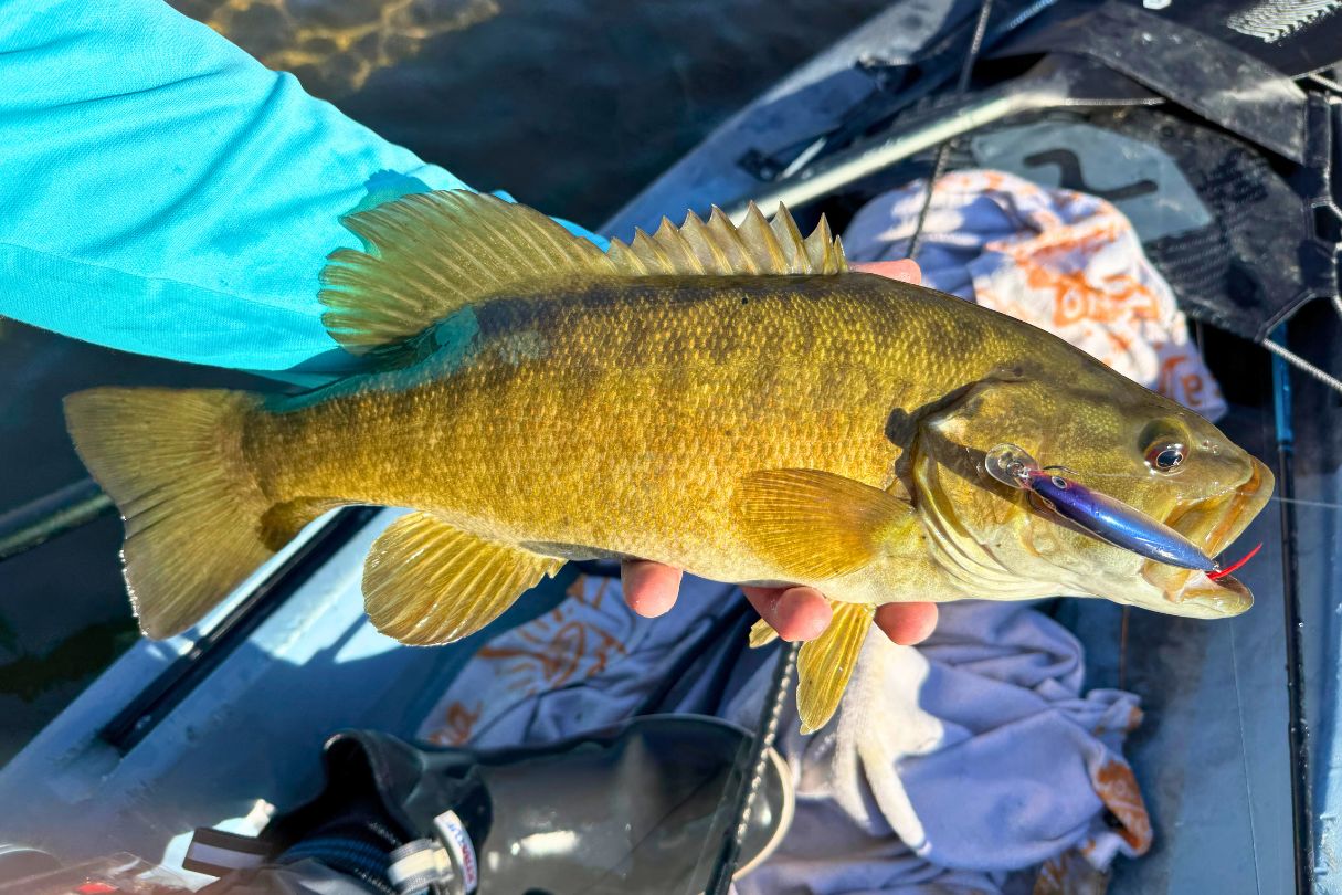 Rapala X-Rap hooked on smallmouth