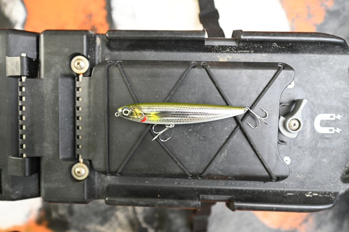 Savage Gear bait for stripers.
