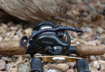 A Texas rig bait setup attached to a fishing reel.