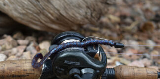 A Texas rig bait setup attached to a fishing reel.