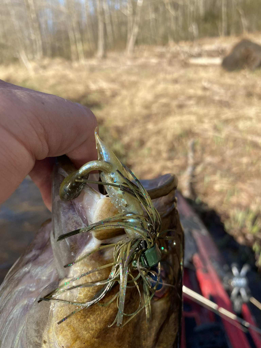 Z-Man Shroomz Micro Finesse Jig.