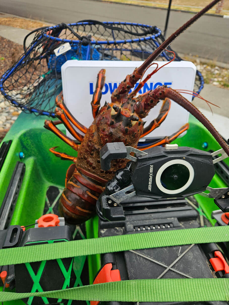 Trevor Powell's catch