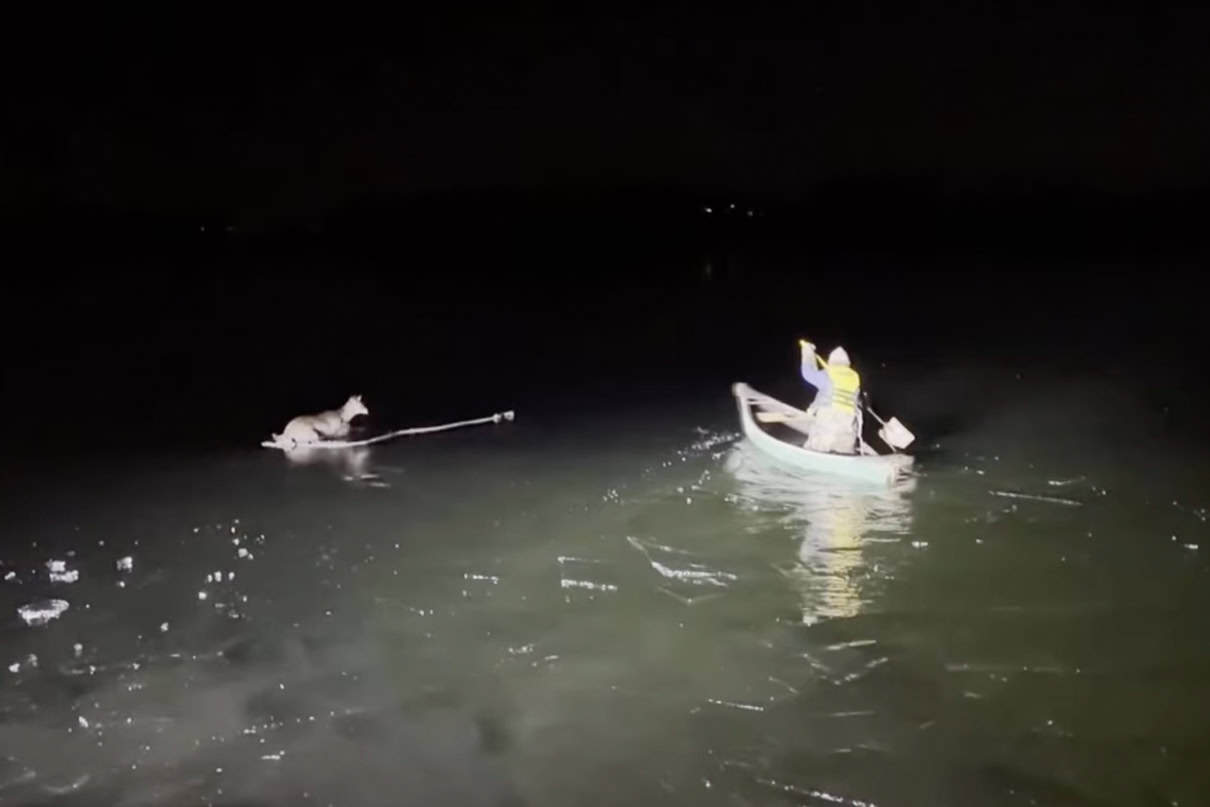 Feature Image: Griffin Marquis paddles out on frozen Derby Pond to rescue a deer. CNN Newsource/WCAX/WKRC | YouTube