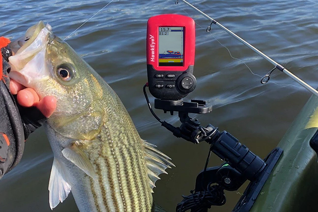 Angler holds fish in aview of their sonar screen.
