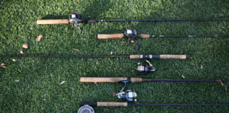 Types Of Fishing Rods—And How To Choose An assortment of different types of fishing rods including spinning rods, baitcasting rods, and fly fishing rods.