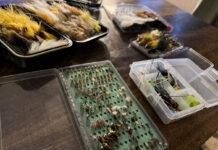 Six Tips To Build A Beginner Fly Box a selection of beginner fly fishing flies in a tackle box on a table