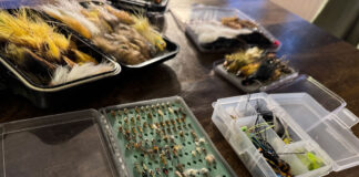Six Tips To Build A Beginner Fly Box a selection of beginner fly fishing flies in a tackle box on a table