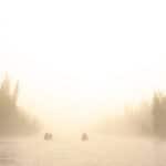 two canoes on a river on a misty day