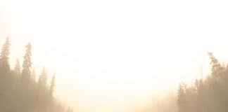 The Canoe Confessional two canoes on a river on a misty day