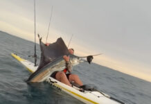 Kayak Angler Catches Monster Sailfish (Video) kayak angler catches sailfish