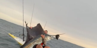 kayak angler catches sailfish