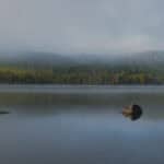 BREAKING: Bill Overturning 20-Year Mining Ban Protecting Minnesota’s Boundary Waters Boundary Passes US House Image of a foggy lake in Minnesota's Boundary Waters Canoe Area Wilderness.