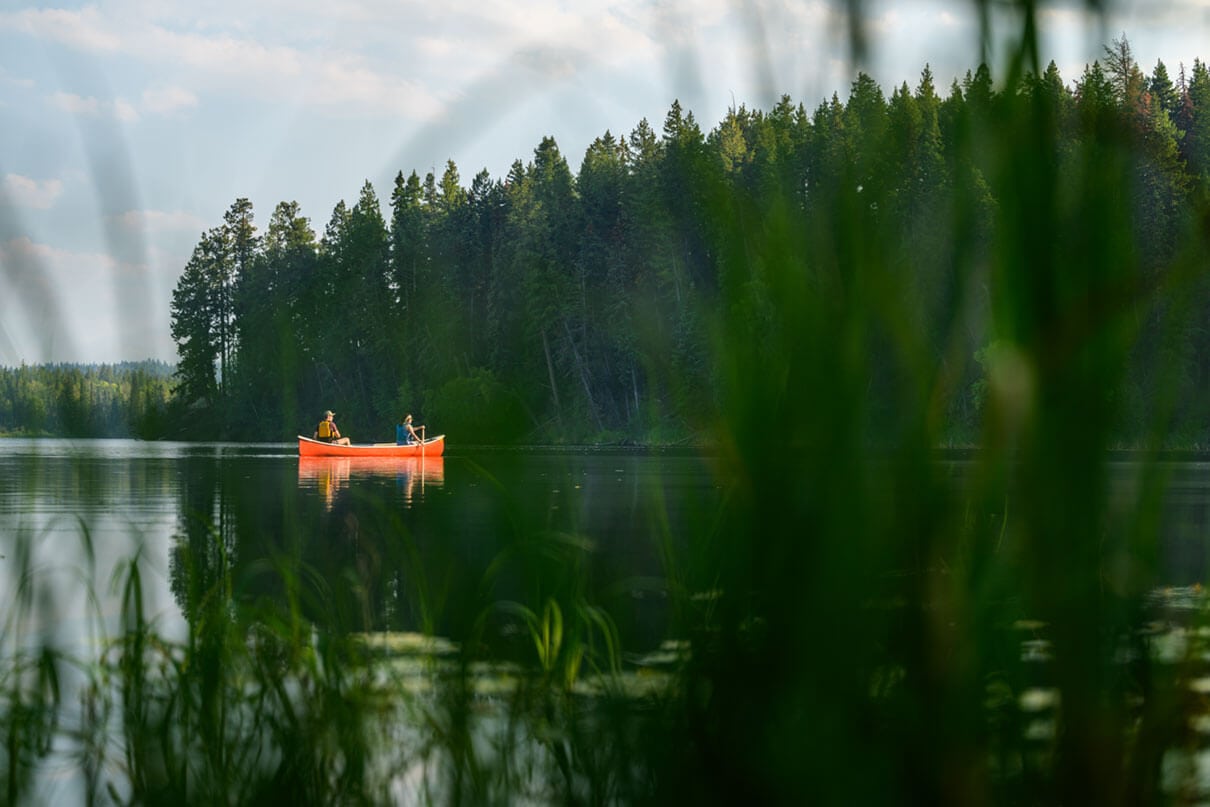 two people paddle a canoe with greenery all around