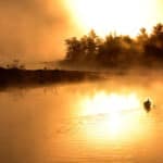 The Quiet Rise Of Solo Canoe Tripping a person solo paddling a canoe while canoe tripping through misty waterways at dusk