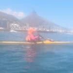 Kayaker Rescues Injured Endangered Penguin (Video) Image of a kayaker off the coast of Cape Town South Africa rescuing an endangered African Penguin