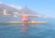 Kayaker Rescues Injured Endangered Penguin (Video) Image of a kayaker off the coast of Cape Town South Africa rescuing an endangered African Penguin
