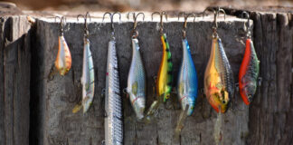 Types Of Fishing Lures—And How To Use Them Various sizes and styles of crankbaits.