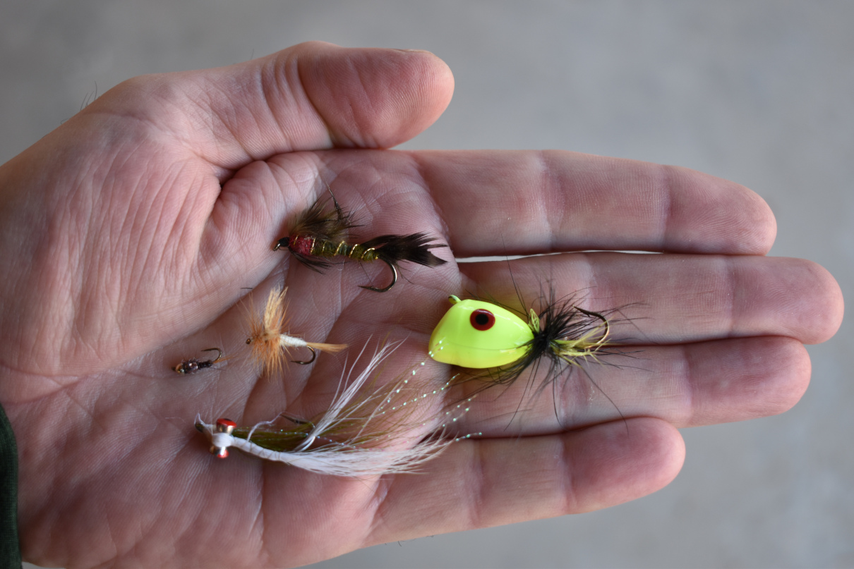 Angler holding an assortment of fishing flies.