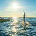 Beginners Guide To Kayak Fishing: Types Of Fishing offshore kayak angler hooks a sailfish which jumps out of the water