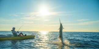 Beginners Guide To Kayak Fishing: Types Of Fishing offshore kayak angler hooks a sailfish which jumps out of the water